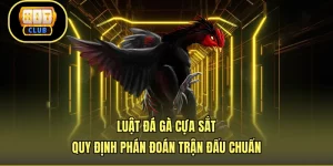 Luật Đá Gà Cựa Sắt - Quy Định Phán Đoán Trận Đấu Chuẩn