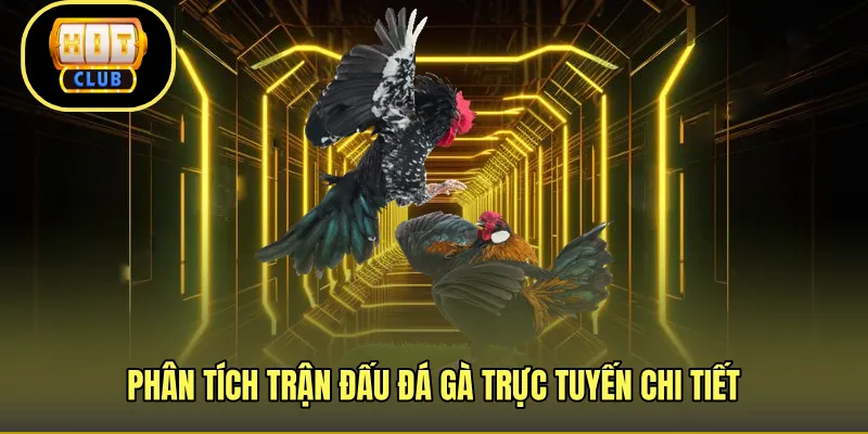 Phân tích trận đấu đá gà trực tuyến chi tiết 