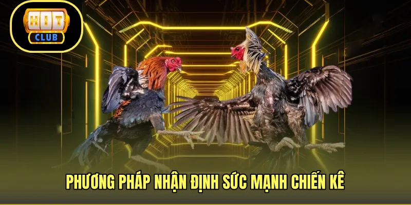 Phương pháp nhận định sức mạnh chiến kê